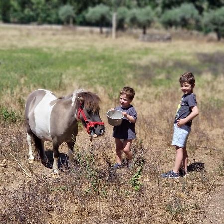 Arca Dos Animais - Farming & Spa Καστέλο Μπράνκο Εξωτερικό φωτογραφία