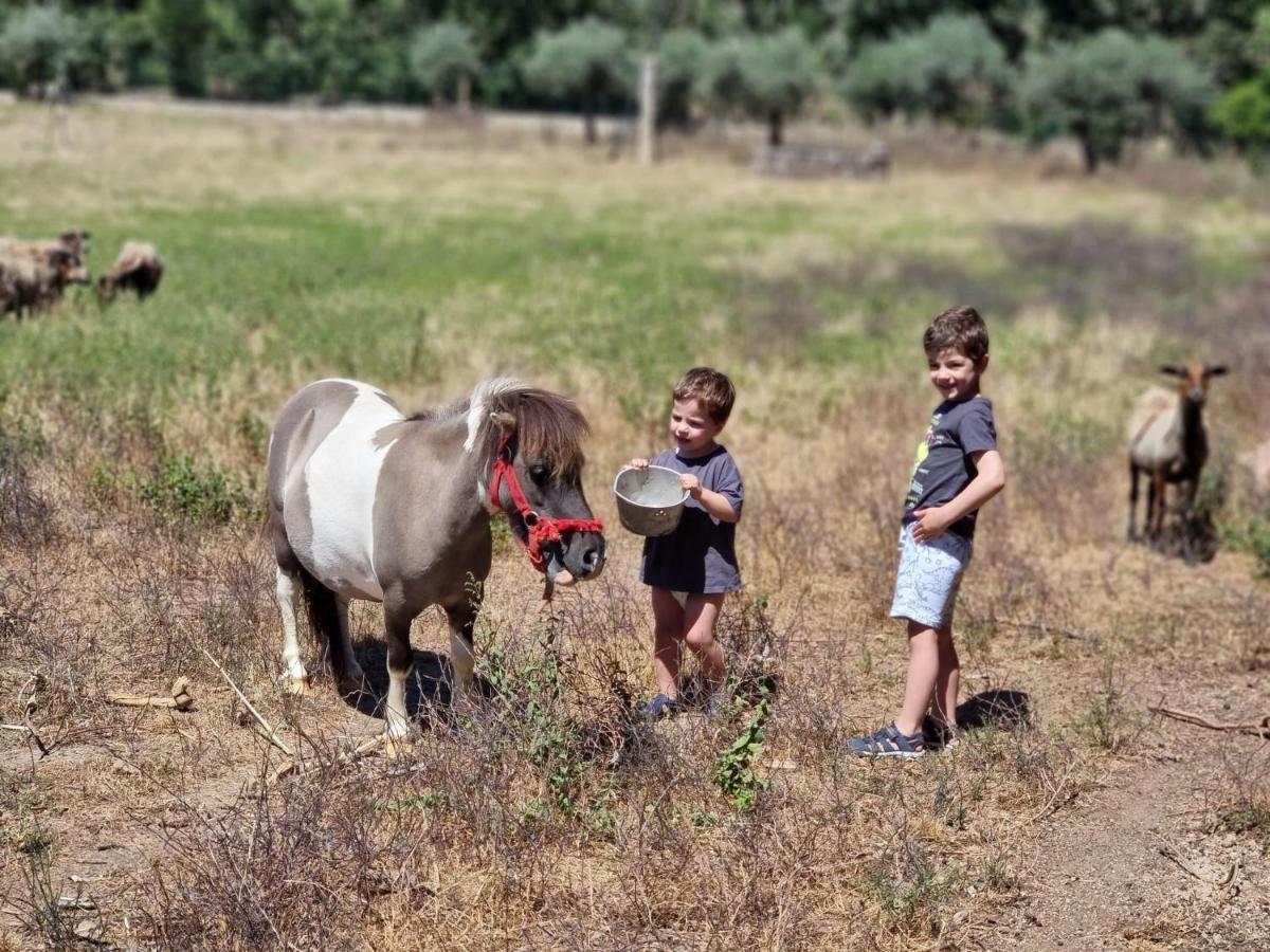 Arca Dos Animais - Farming & Spa Καστέλο Μπράνκο Εξωτερικό φωτογραφία